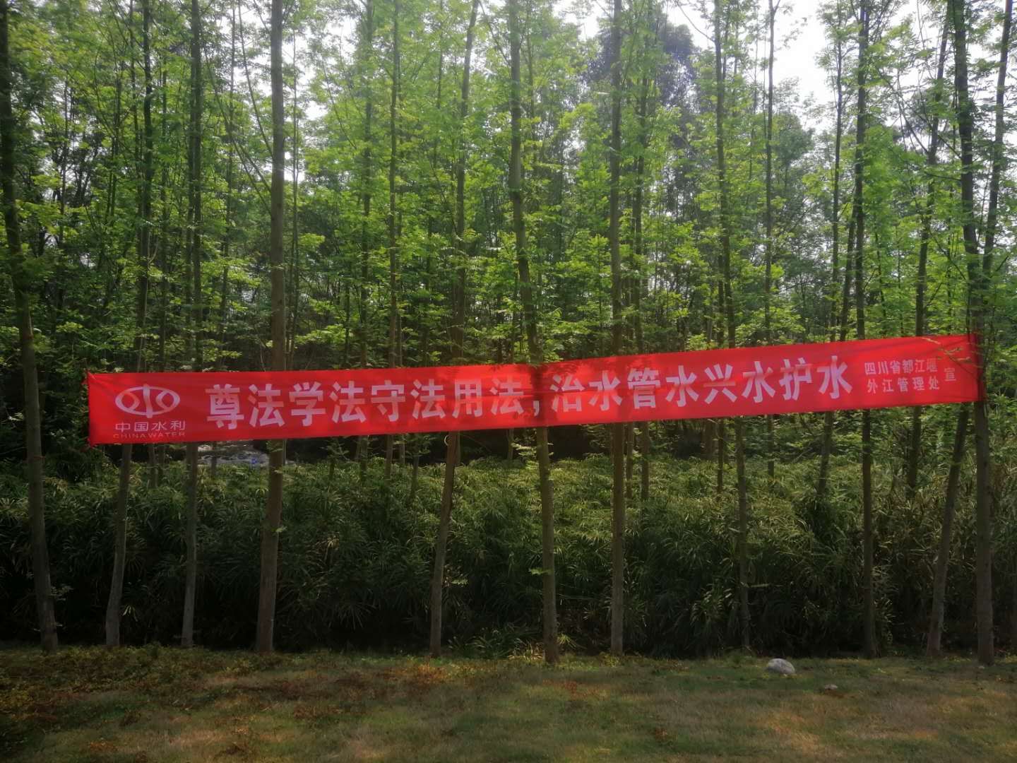1585184658944825.jpg