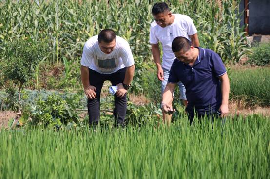 说明: E:\电脑\宣传\宣传照片\2022\7.6-7 旱情调研\IMG_5904.JPG